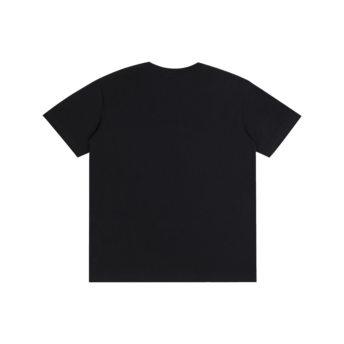 Pure Cotton Unisex T-Shirt paid in full