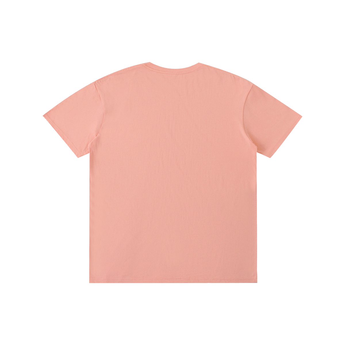 Pure Cotton Unisex T-Shirt paid in full