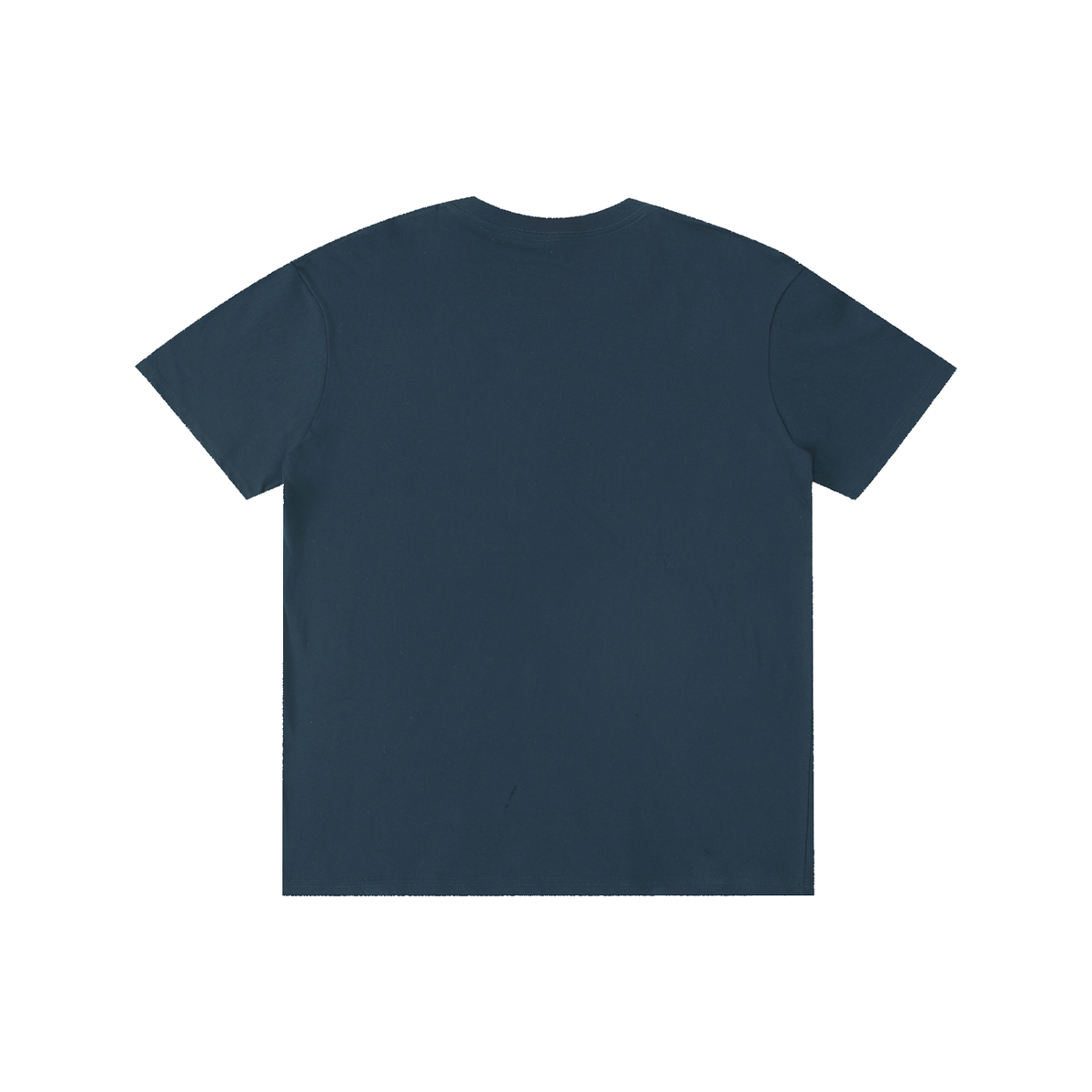 Pure Cotton Unisex T-Shirt Disciple